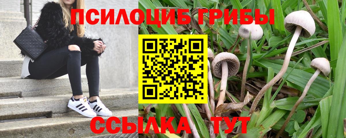 Гусь-Хрустальный  Псилоцибиновые грибы MAGIC MUSHROOMS  наркотики  Вход с VPN 